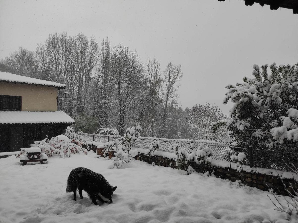 L'Oree Des Bois Courpiere Exterior foto